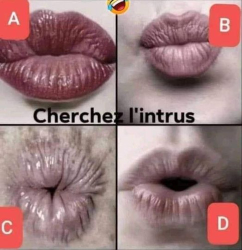 cherchez l'intrus.jpg