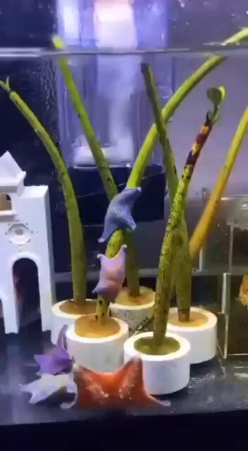 zlcjz KSTZWRSlLJ.jpg