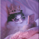 176867981422267045 (2).gif