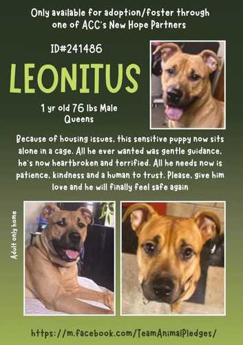 G 1P5sYWoAEQEVm?format=jpg.jpg