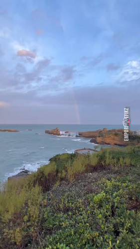 76 XMHzZYu1NreRn.jpg