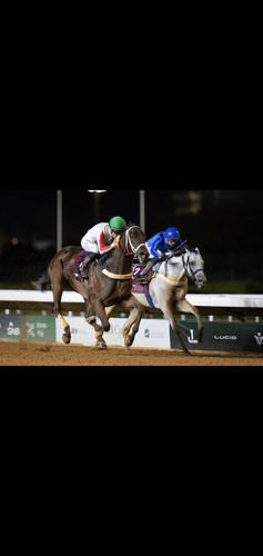 G 4TEaWXYAE0VbP?format=jpg.jpg