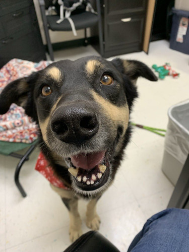 G 3l0J2XAAEPu9t?format=jpg.jpg