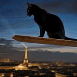 1768679220691 ezgif.com video to gif converter.gif