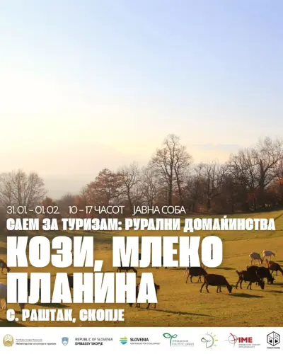 2425f56ae950.webp
