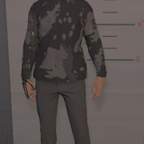 FiveM GTAProcess OSWXYZMOkY.png