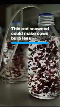 bdWa0Q XEvD5kytb.jpg