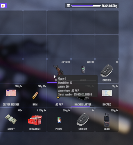 FiveM GTAProcess 8id8B0tR9o.png
