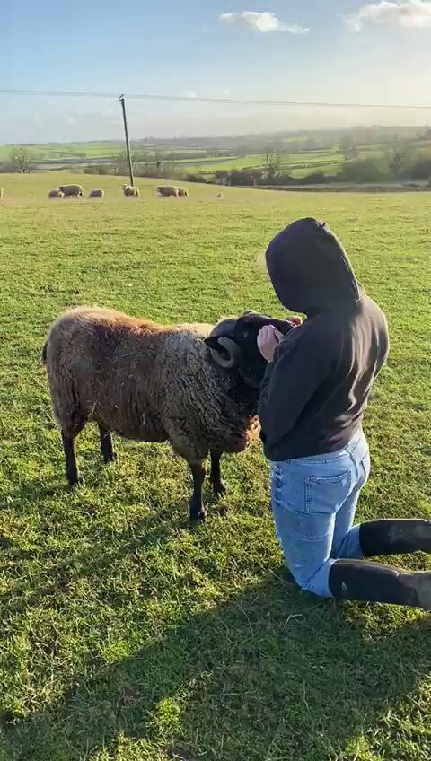 T5FS 9YSVH313rJm.jpg