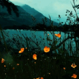 Tumblr l 171026748376788.gif