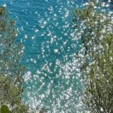 Tumblr l 171034110427567.gif