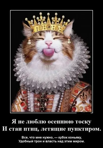 2024 10 09 15 29 231.webp