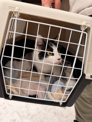 G 2TlsoW4AABXan?format=jpg.jpg