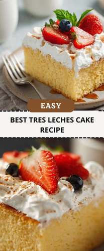 fb0a53fb 2da6 4b88 8d6e 6d91efd38326.png