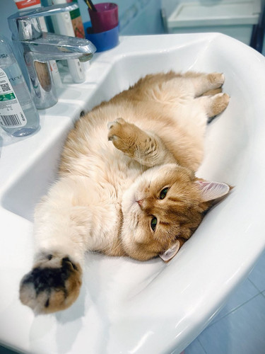 G 2oFaIWQAAtBWu?format=jpg.jpg