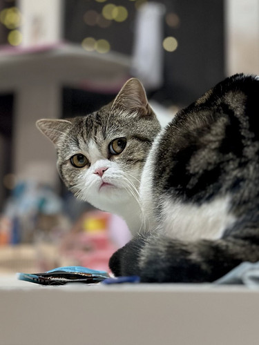 G 0G9r9XYAAfWCF?format=jpg.jpg