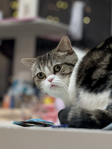 G 0G9rzXMAIGNIy?format=jpg.jpg