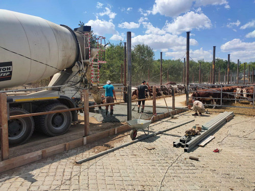 photo 5341621899890462254 y результат.jpg