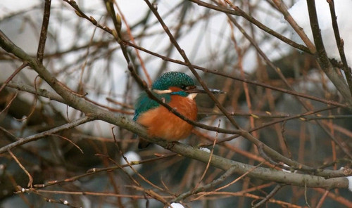 G ztI63XgAAyRic?format=jpg.jpg