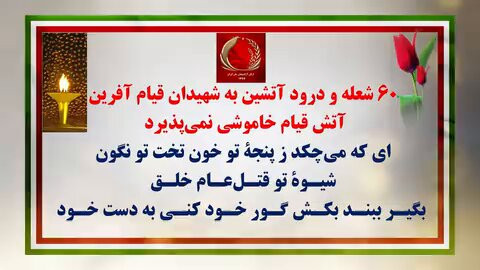 O363AWI hM28nXr4.jpg