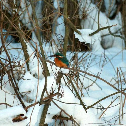 G ztH31XgAEn16h?format=jpg.jpg