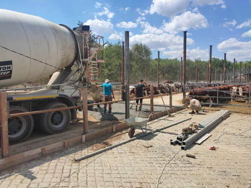 photo 5341621899890462254 y.jpg