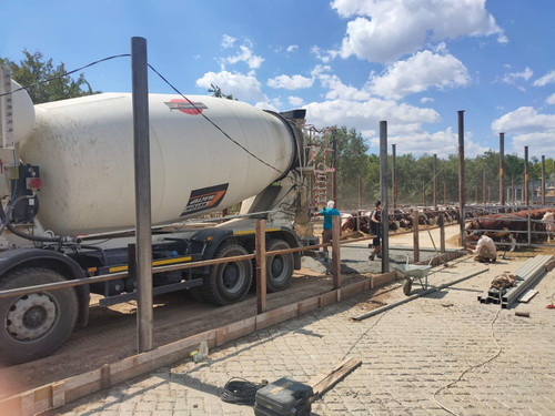 photo 5341621899890462252 y.jpg