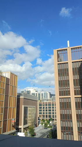 just saw a huge formation of military choppers warbirds v0 bDcwZ3V4NGFmd2RnMcx CW AFKXXMTRflgFqd1Cc2.jpg