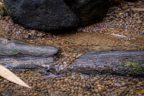 ChatGPT Image Jan 17, 2026, 04 52 39 PM.png