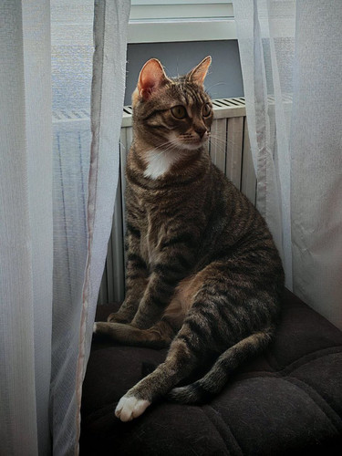 G zHCRqWIAApG6G?format=jpg.jpg