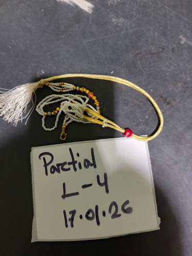 WhatsApp Image 2026 01 17 at 7.34.53 AM.jpg