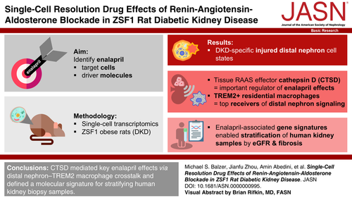 G 4WfclXQAI KJP?format=png.png