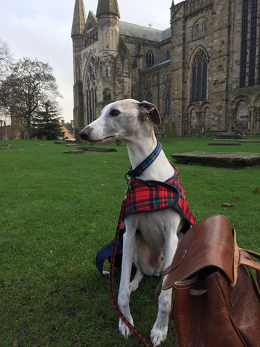 G 7qkzQWQAAhSHA?format=jpg.jpg