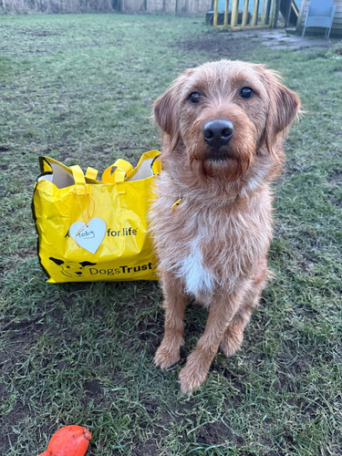 G 8nszDbsAAzW2x?format=jpg.jpg