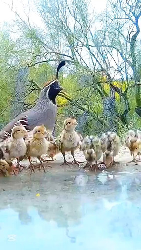 u9c LM6PqwiNOeCH.jpg