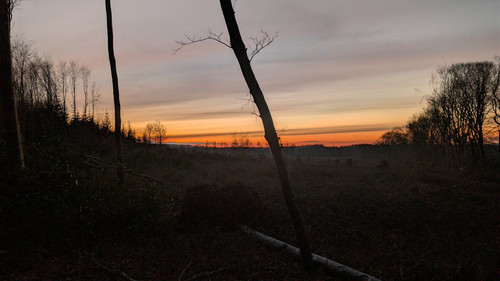 G 7rY7DXgAE4drg?format=jpg.jpg