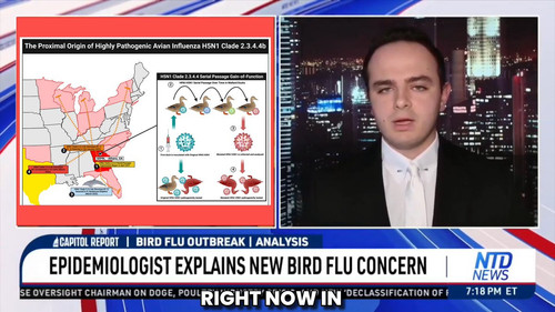 tZ pzyiv6d8hITlN.jpg