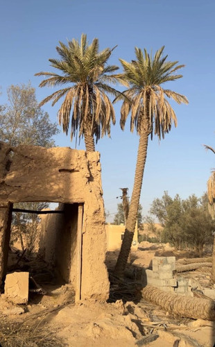 G 7jqhOXgAAXnwu?format=jpg.jpg