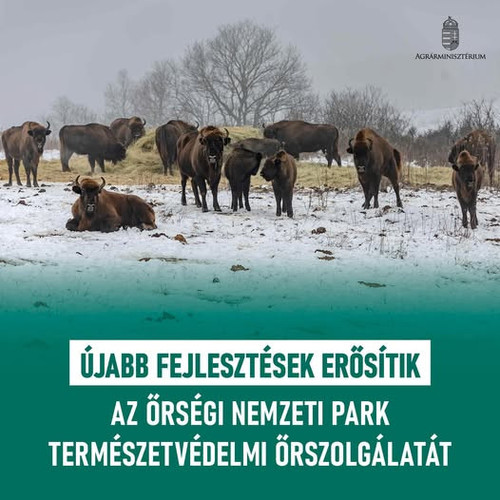 616653947 1428198185343910 4648487443219448570 n.jpg?stp=dst jpg p526x296 tt6& nc cat=105&ccb=1 7& n.jpg