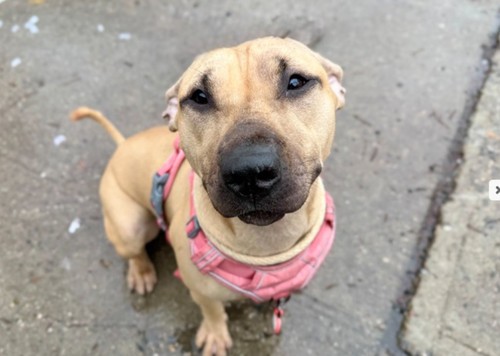 G B9uxjXYAA3rAl?format=jpg.jpg