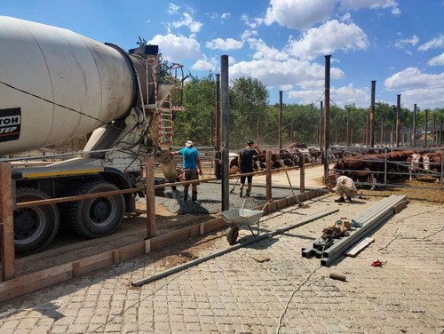 photo 5341621899890462254 y результат результат.jpg