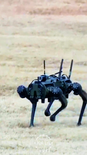 hMuaFatF0SS54Or .jpg