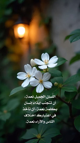 G 9m7XOXIAA75F8.jpg
