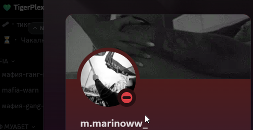 Discord zMZavcM7KE.png