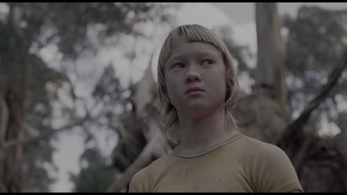 frame1.jpg