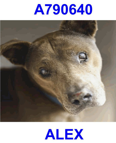 G 6PPiGXIAAWV7 ?format=jpg.jpg