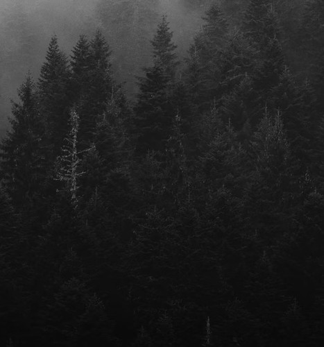 20260117225846 1768661926769 3vysmx.jpg