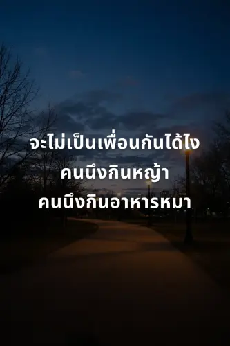 aade4f2025e8.webp