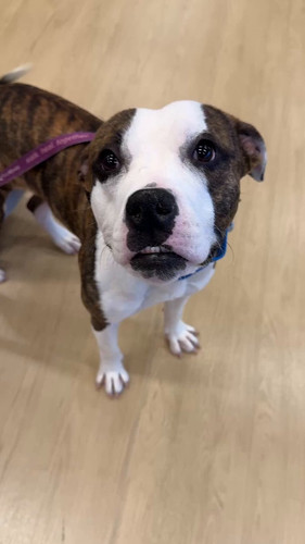 yLjmQZ eQzhJpiDQ.jpg