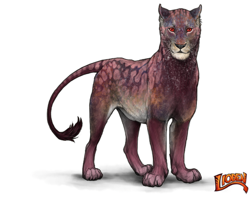 lioden wardrobe 19.png